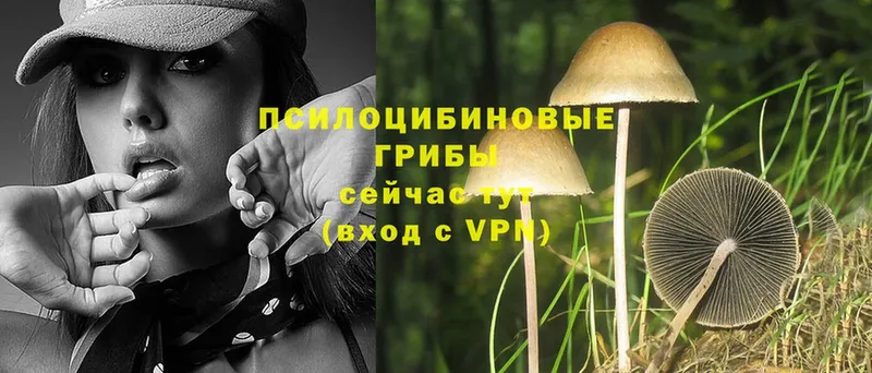 Галлюциногенные грибы MAGIC MUSHROOMS  Билибино 